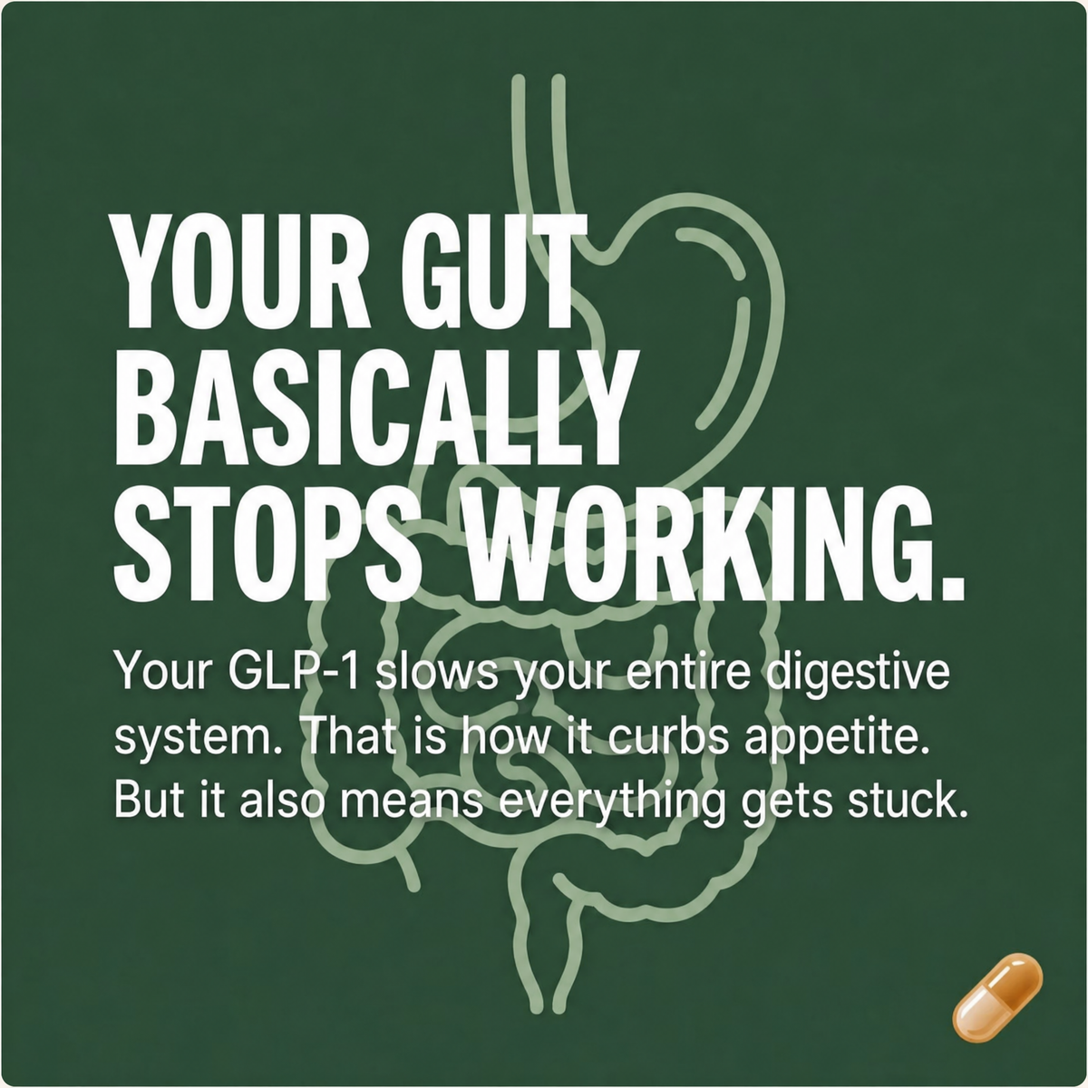 Your gut basically stops working on GLP-1 medications